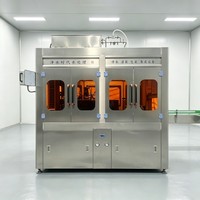 Unité de remplissage d'eau avec structure en acier inoxydable, précision de remplissage de 99 %, utilisation facile pour les bouteilles d'eau en PET