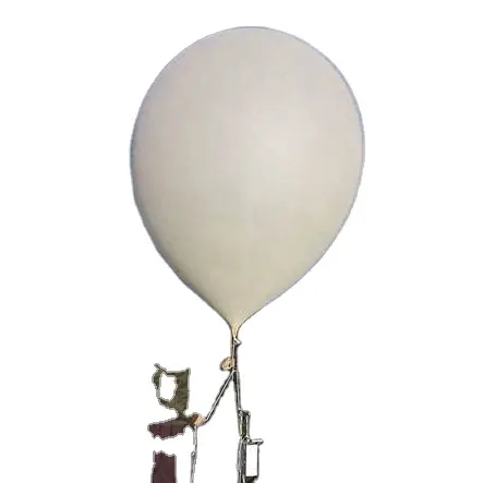 Globo de helio de látex para el clima, personalizado, 500g, 3000g, precio barato de fábrica de China, a la venta