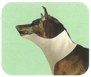 Attelle thermoplastique orthopédique malléable pour matériaux de mémoire de chat de chien - Product Image 5