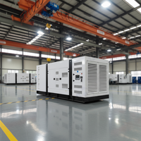 Groupe électrogène diesel triphasé super silencieux Baudouin 200kW 250kVA 256kW 320kVA 320kW 400kVA 400kW 500kVA