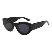 Lunettes de soleil de luxe de haute qualité en gros, lunettes de soleil œil de chat en nylon, lunettes de soleil en acétate 2026 F pour hommes et femmes