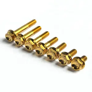 M5 M6 M8 M10 Gr5 Motorcycle Gold Titanium Hex Flange Bolts