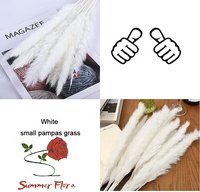 Dekorasi Rumah Boho Grosir untuk Hari Valentine & Natal, Rumput Pampas Kering Alami yang Diawetkan, Panjang 42cm, Tahan Lama 3-5 Tahun