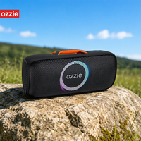 Enceinte Bluetooth Portable Haute Fidélité 20W avec Fonction TWS, Lecteur de Carte TF, Entrée USB/AUX et Indicateur LED pour Camping, Plage et Réunions