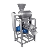 Presse-agrumes automatique à vis pour ananas, citron, orange, pamplemousse, gingembre, pomme et fruits – Machine à jus et à pulpe