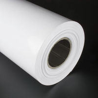 Rouleau de feuilles de polystyrène à haute résistance (HIPS) blanc et noir pour thermoformage et blister