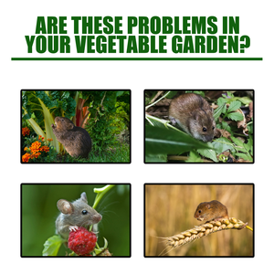 ทําสวนบ้าน รถ เครื่องยนต์ ยาไล่หนู - Product Image 2