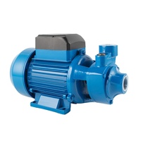 1 pouce sortie fonte QB60 électrique 0.5HP 0.37kW prix compétitif vente en gros pompes de pompage périphériques ferme pompe à eau domestique