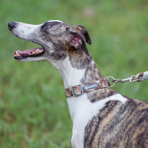 <span class=keywords><strong>Collar</strong></span> de perro de lujo nuevo logotipo personalizado reflectante hebilla de Metal de liberación rápida collares de entrenamiento duraderos para mascotas para perros pequeños medianos grandes - Product Image 5