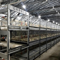 Système de cages à poulets de chair de type H entièrement automatique clé en main, équipement d'élevage avicole avec alimentation et abreuvement, galvanisé à chaud