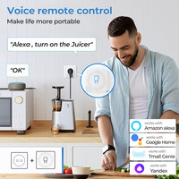Module de relais Zigbee 3.0 1CH 16A Tuya avec moniteur de puissance, interrupteur marche/arrêt pour Google Assistant, Alexa, Yandex Alice, HA