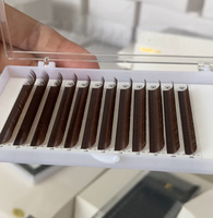 Plateau d'extensions de cils Volume russe en cachemire marron J B C CC D DD L M Curl 0.03 0.05 0.07mm Aucun cils collants"