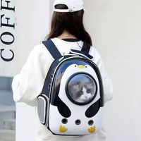 Tas Ransel Hewan Peliharaan Kapasitas Besar Portabel untuk Kucing dan Anjing, Bahan PVC, Kapsul Luar Angkasa, Ringan, Transparan, Buatan Cina, Perlengkapan Hewan Peliharaan