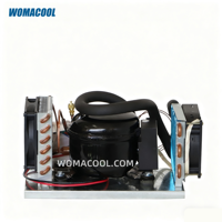 Unité de condensation micro-CC DC12V-24V, petite unité de congélation ZH35G, unité de réfrigération refroidie par air pour congélateur portable, réfrigérateur de camping-car