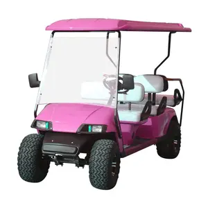 Voiture de golf personnalisée avec étiquette privée à quatre roues, couleur en option, modification personnalisée, voiturette électrique