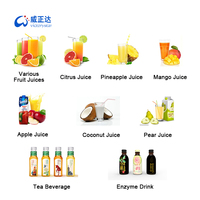Nouvelle Ligne de Production Automatique de Jus de Fruits Frais, Extracteur de Jus d'Ananas et de Banane, Équipement de Fermentation et d'Alcools