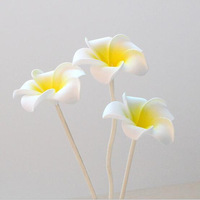 Bâtonnets parfumés Plumeria en forme de trompette avec support, accessoires diffuseur de fleurs en PE, aromathérapie, décoration d'intérieur