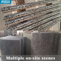 Comptoir de cuisine et carreaux de sol durables 100% en granit gris clair naturel pour l'extérieur, vente en gros