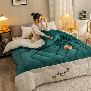 Nhà Sản Xuất Cung Cấp Tùy Chỉnh In Chắp Vá Quilting Nhung Lông Cừu Mền - Product Image 3