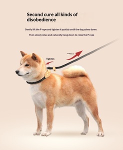 Guinzaglio per Cani di Taglia Grande con Design Integrato, Facile da Indossare e Sganciare, Allungato e Rinforzato, Antiesplosione - Product Image 1