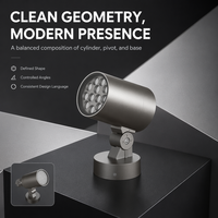 Projecteur LED extérieur 24W OEM ODM, éclairage architectural mural AC, faisceau réglable pour bâtiments et ponts