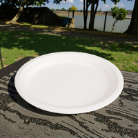 Plats et assiettes jetables prêts à expédier en fibre végétale 6/8/9/10 pouces 100% assiette de bagasse de canne à sucre biodégradable compostable