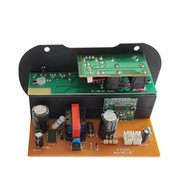 Amplificateur numérique SF5 220V personnalisable, double microphone, lecteur audio karaoké, récepteurs et amplificateurs pour usage domestique