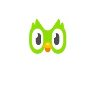 Compte Premium Duolingo Pro Edu 1 an Applicable dans le monde entier Activez votre propre compte