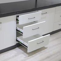 Banc de laboratoire mural sur pied avec évier et armoire suspendue, structure en acier, conception multifonctionnelle pour usage scolaire - Vente chaude