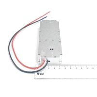 Amplificateurs de puissance RF personnalisables 100W 1900-2000MHz, module Lora GaN, module anti-drone, VCO intégré