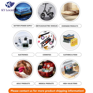 Çin'den ab/abd'ye acil ve zamana duyarlı gönderiler için uzman hava taşımacılığı acentesi - Product Image 2