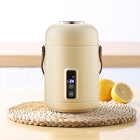 Multifunktionaler Elektroherd 220V Heizpfanne Kochtopf Maschine Hotpot Nudeln Eier Suppe Dampfgarer Mini-Reiskocher Hot Pot