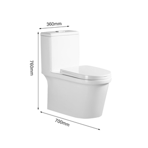 Inodoro de suelo FANNISI, económico, para sótano, alto, Caroma, el mejor lugar para comprar inodoros con tapa autoadhesiva. - Product Image 2