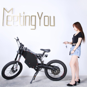 LVCO 2023 19/24* 48v72v 3000w S Tealth High Power Raiden Ebike MILO LVCO 2023 19/24* 48v72v 3000w S Tealth High Power End - Product Image 6
