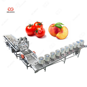 Línea de Procesamiento de Fresas, Plátanos, Patatas, Melocotones Secos y Batatas con Cortadora, Motor PLC y Acero Inoxidable de Alta Calidad - Product Image 3