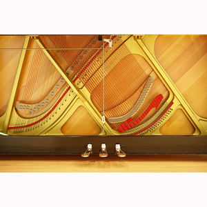 Black Mirror Gloss pintado Instrumentos musicales Ventas Usado Piano Profesional - Product Image 5