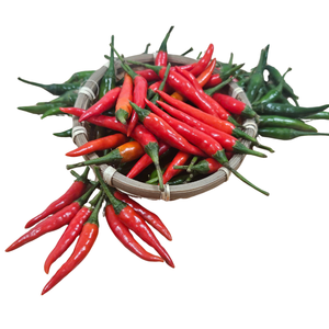 Chili Peppers crudos frescos 30 kg/paquete Buen precio Fuentes asiáticas Servicio postventa agrícola de venta al por mayor vietnamita - Product Image 2