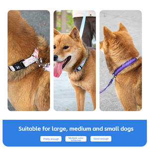 Kings peed Upgrade Hunde halsband Sommer Bunt Drei Größen verstellbares Haustier halsband Bunt bedrucktes Welpen halsband - Product Image 4