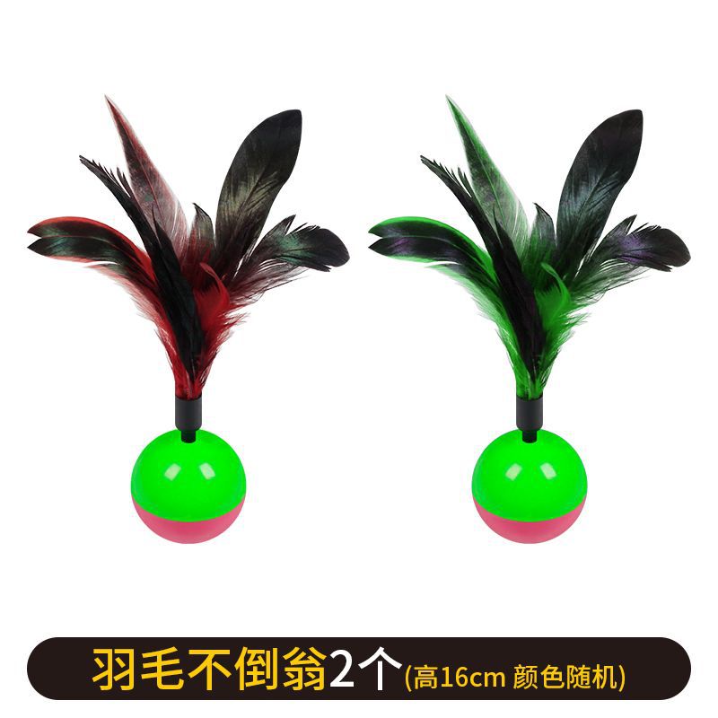 Tumbler Feathers [Pack of 2]