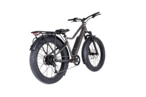 Custom Fat Bike 250W 500W 750W 1000W Motor de cubo 48V Batería de litio 26 pulgadas Fat Tire Todo terreno Bicicleta de montaña eléctrica - Product Image 5