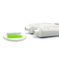 Nouveau produit personnalisé Dentifrice de nettoyage et de blanchiment jour et nuit Dentifrice de fabrication chinoise à base de plantes Dentifrice de jour et de nuit