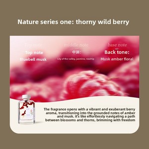 Diffuseur d'arômes sans flamme 200 ml, sans <span class=keywords><strong>alcool</strong></span>, aux huiles essentielles naturelles, coffret cadeau, parfum longue durée Fleur <span class=keywords><strong>de</strong></span> Pêcher et Rotin - Product Image 6