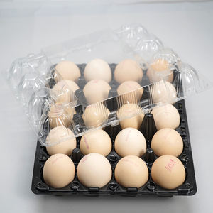 सी 20 छेद स्थिर टिकाऊ पालतू पालतू पालतू प्लास्टिक क्लैमशेल फफोले अंडे ट्रे को सुपरमार्केट फार्म के लिए कस्टम लोगो के साथ - Product Image 5