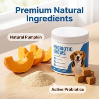 Probiotiques pour chiens OEM avec friandises à mâcher prébiotiques, friandises probiotiques pour chiens avec enzymes de citrouille, prébiotiques, santé intestinale, système immunitaire