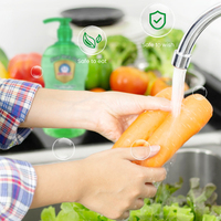 Aloe Aloevera Premium élimine les taches détergent à vaisselle liquide vaisselle naturel