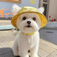 Lindo Sombrero de Sol para Mascotas con Orejas Expuestas, Protección UV de Verano, Sombrero de Pescador para Perros y Gatos, Gorro para Cachorros Devon, Protección Solar para Mascotas al Aire Libre