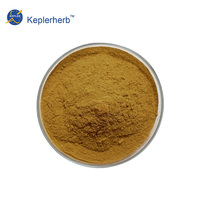 Extrait de plante naturelle, poudre d'extrait pur de plantain, tanins 4%, extrait de Gnaphalium Uliginosum