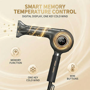 FP <span class=keywords><strong>acheter</strong></span> sèche-cheveux prix d'usine mural moteur à courant continu vent chaud et froid sèche-cheveux ionique - Product Image 3