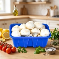 Ventes chaudes : Barquette jetable en plastique PET pour viande, légumes et champignons frais