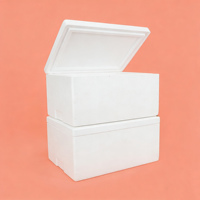Boîte isotherme en carton biodégradable de grande taille avec polystyrène pour la vente en gros de fruits de mer
